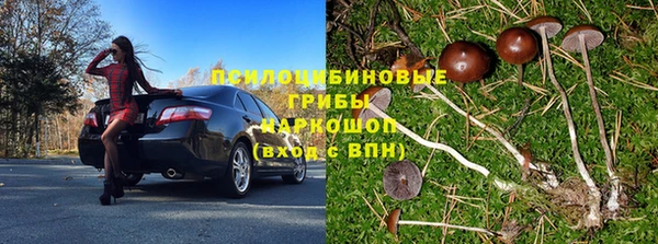 гидропоника Алексеевка