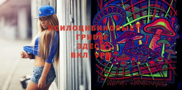 гидропоника Алексеевка