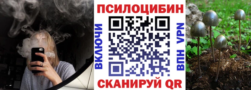 Галлюциногенные грибы MAGIC MUSHROOMS  Купить закладки  Тотьма 